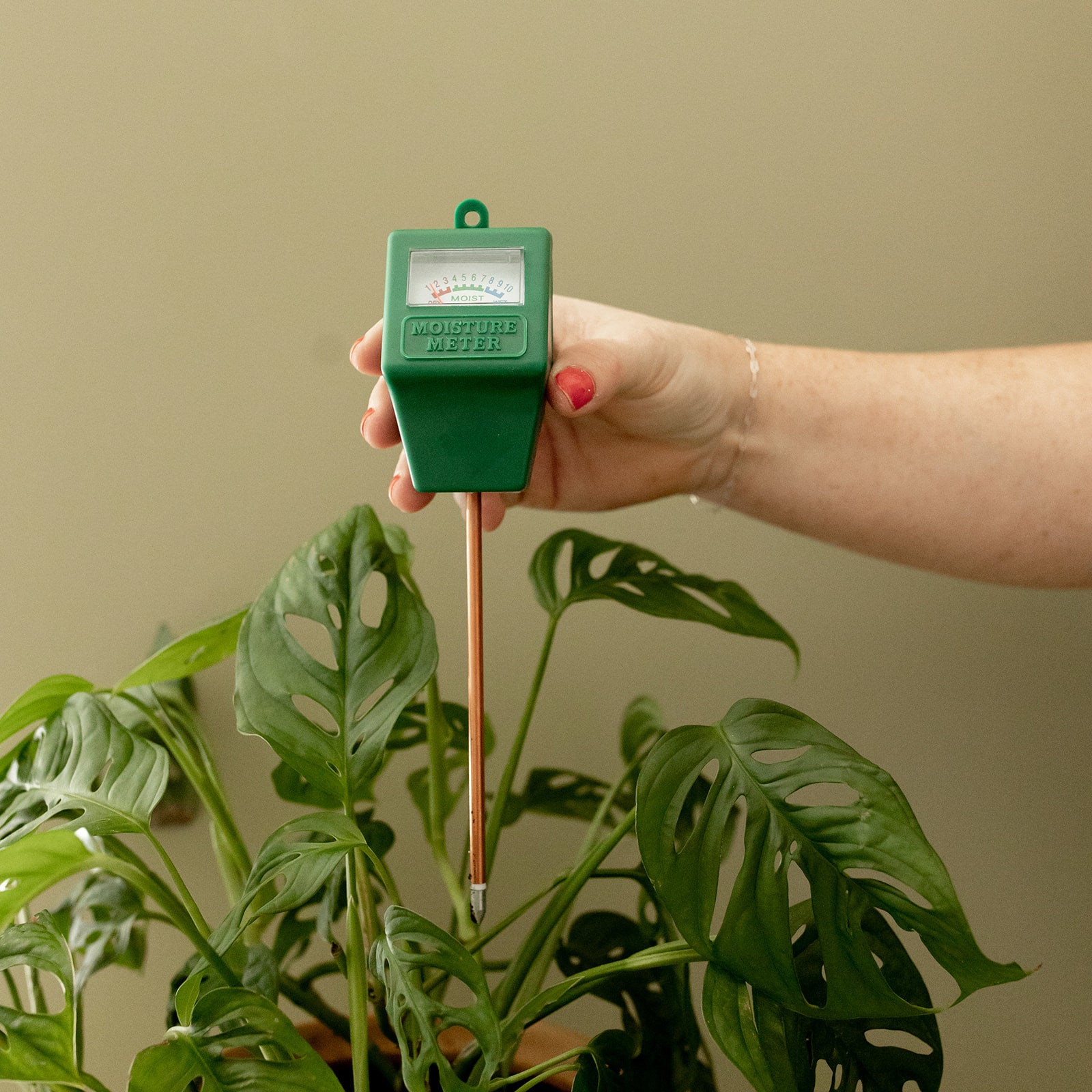 Orange Moisture Meter - Jungle House